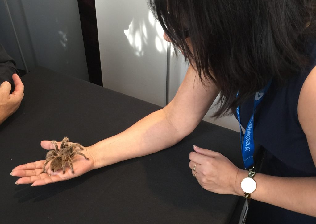 Lalla Hargreaves with spider after NLP for arachnophobia.